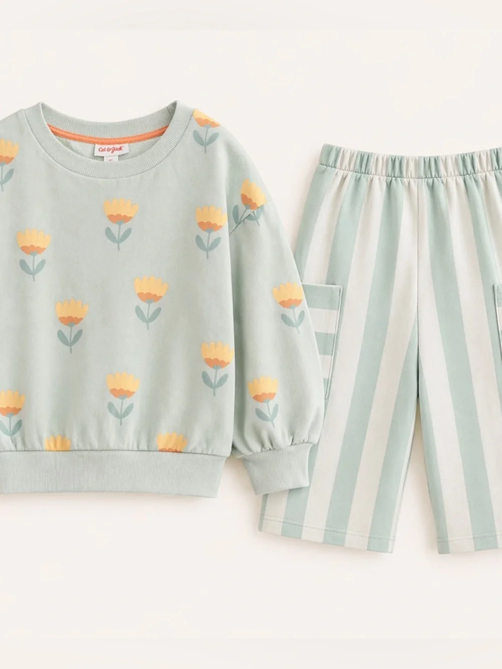 Cat & Jack Girls 2 Piece Set‎ Size 4T Floral Sweatshirt & Striped Pants Matching